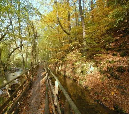 Herzstueck Simonskall